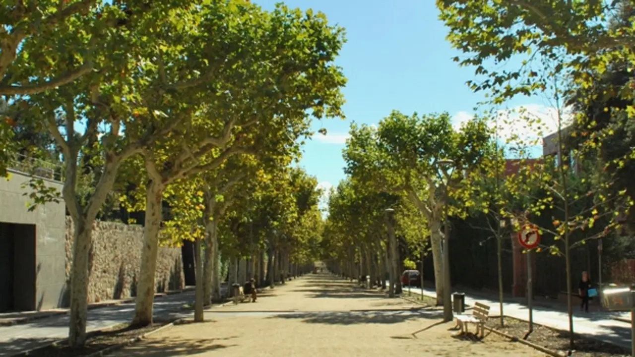 Panor&aacute;mica