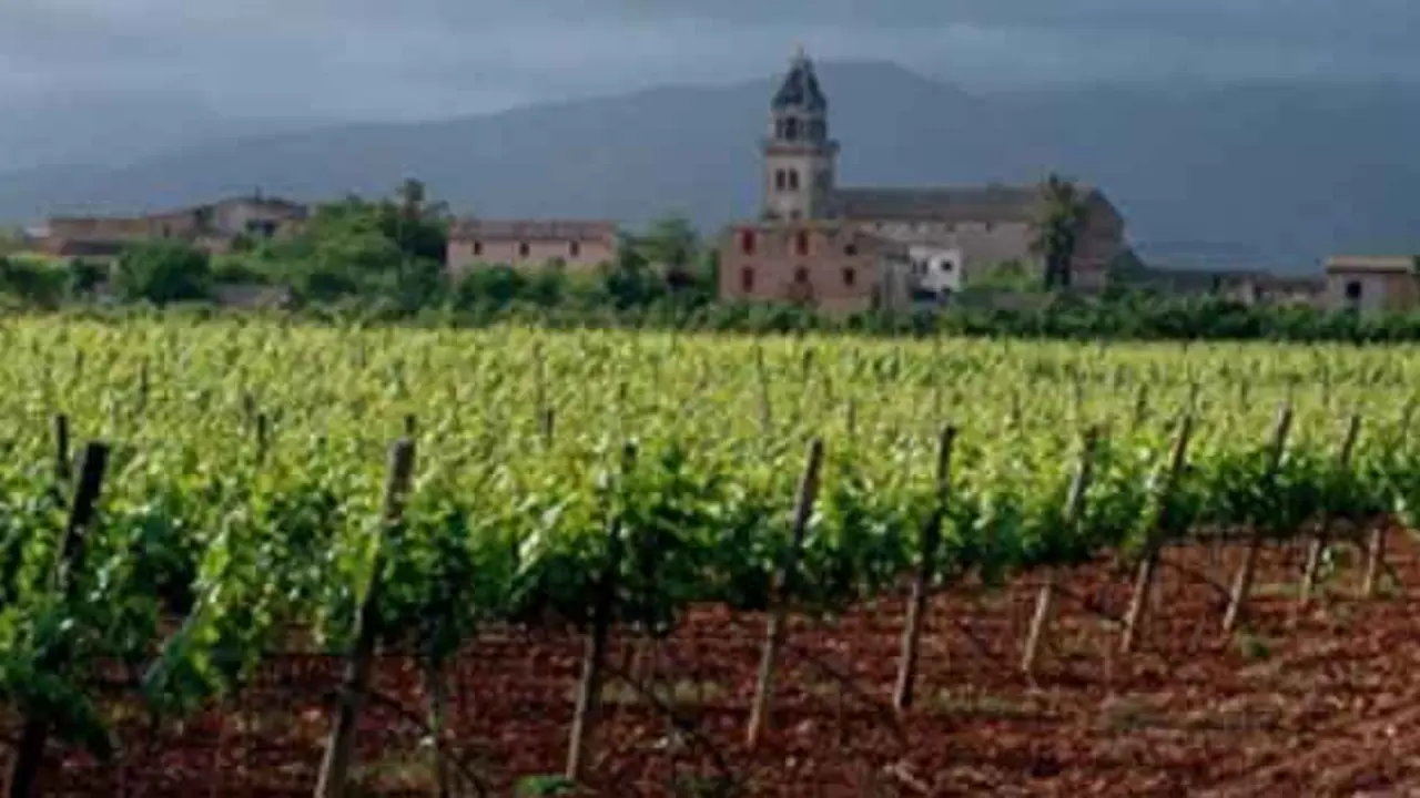 vinos de Binissalem