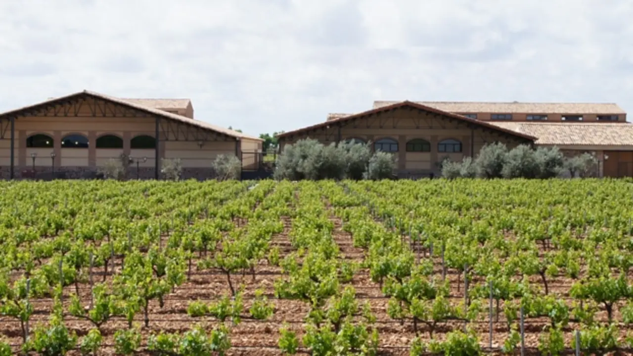 vinos Casa del Blanco