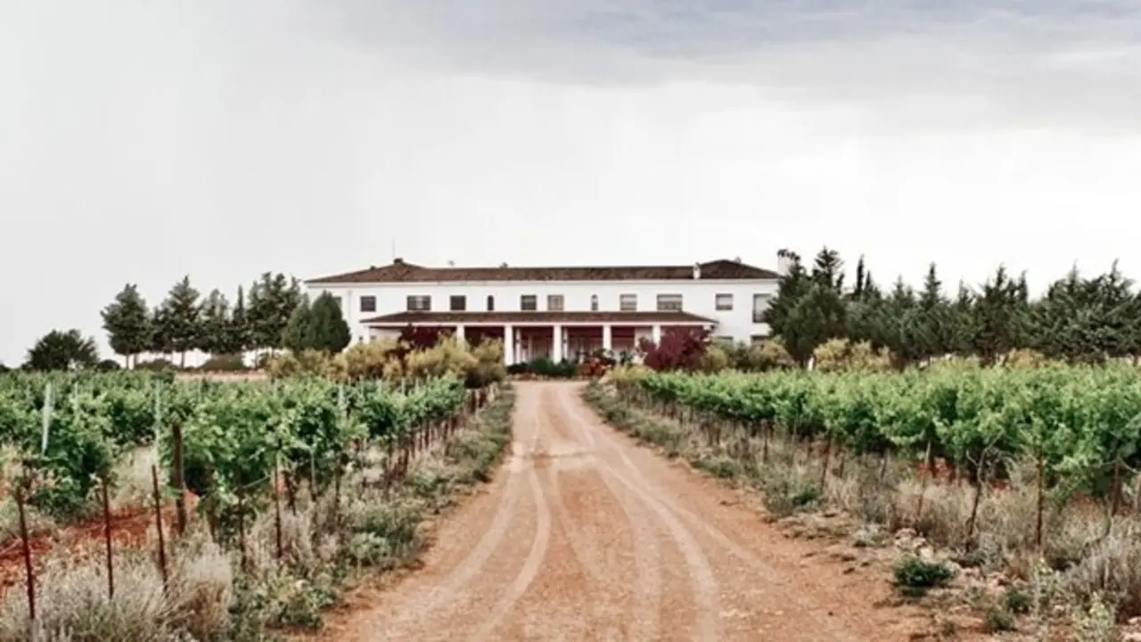 Vinos Finca &Eacute;lez