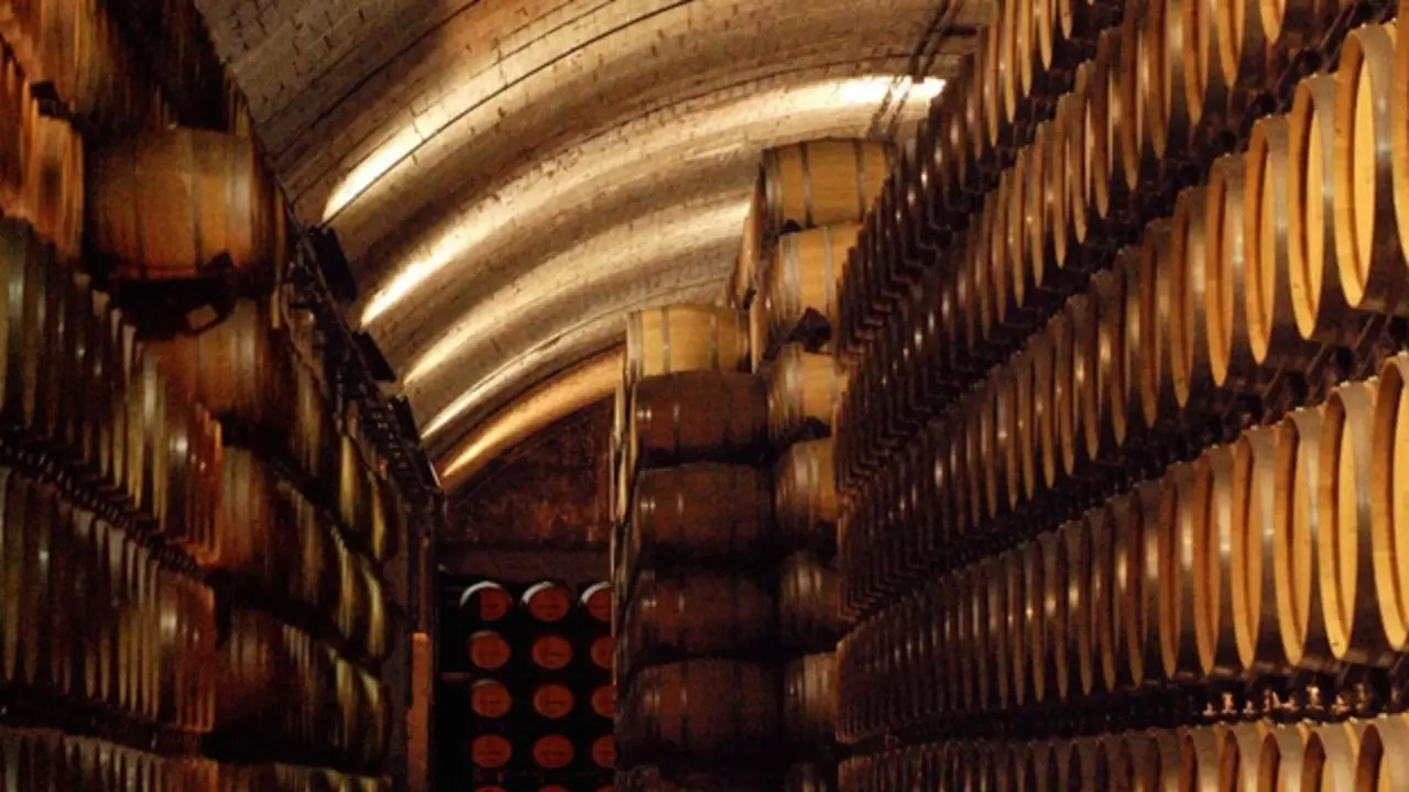 Bodegas