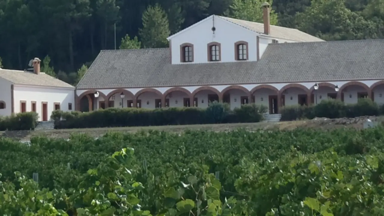 vino Dehesa del Carrizal