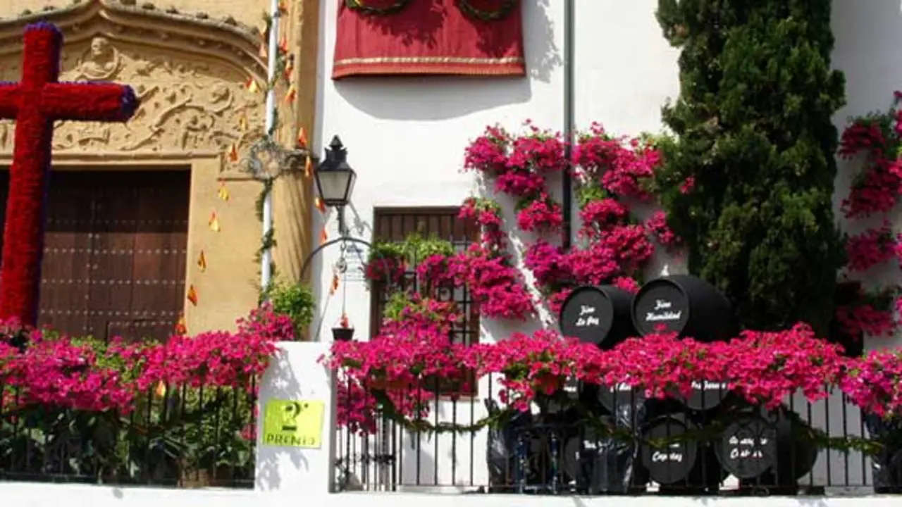 Cruces y Patios