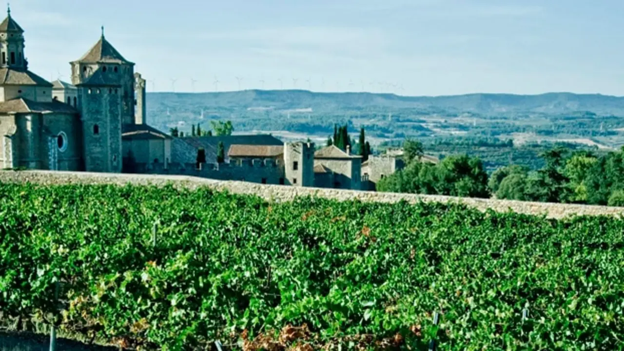 Vino Conca de Barber&aacute;
