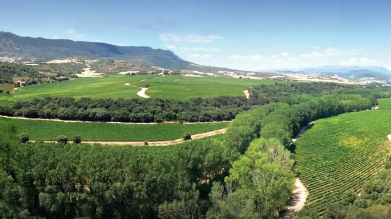 Vinos de Pago de Ar&iacute;nzano