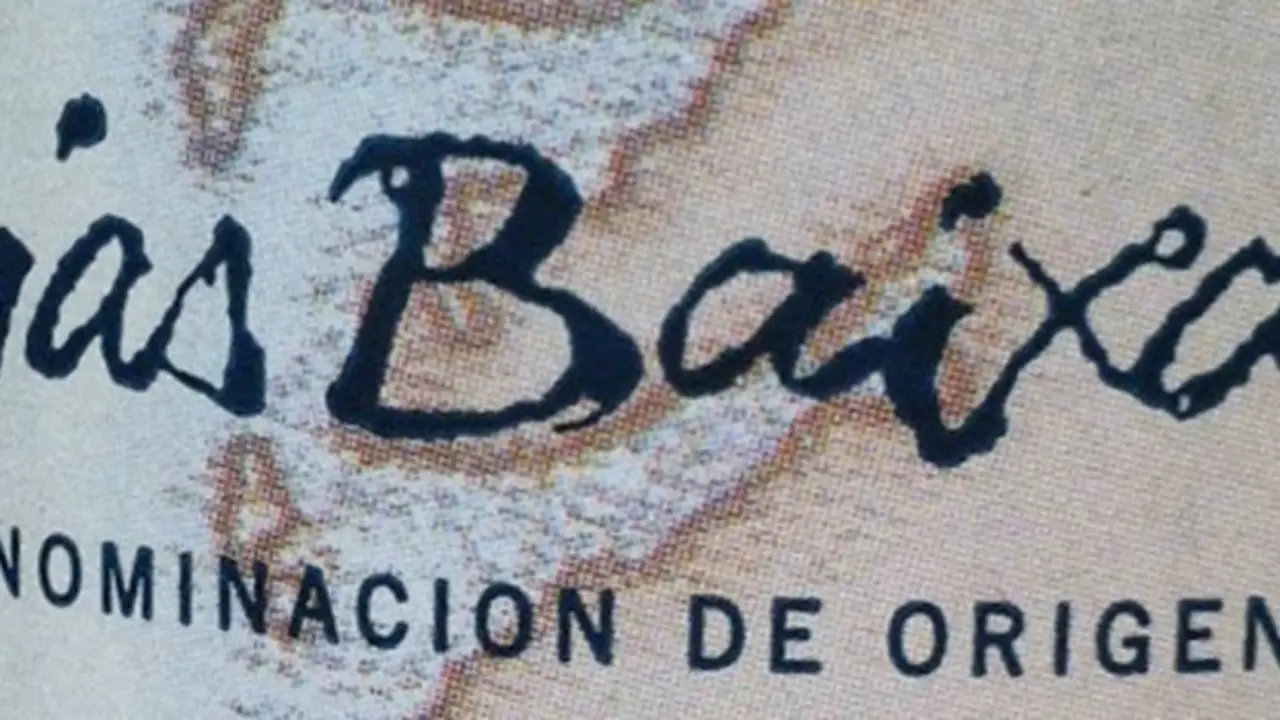 Vinos R&iacute;as Baixas