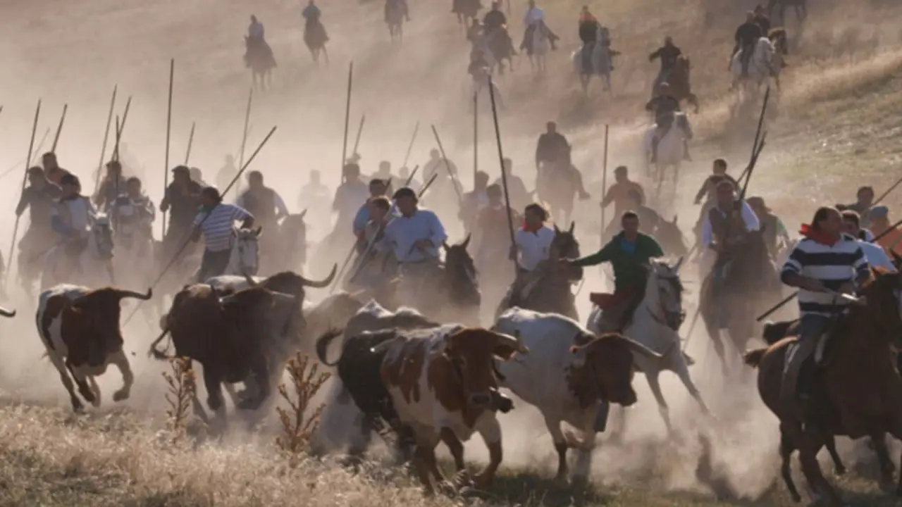 Encierros de Cu&eacute;llar