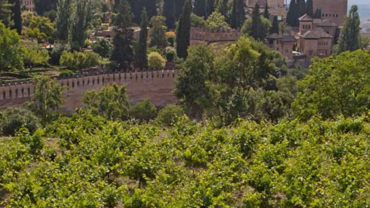 Vinos de Granada