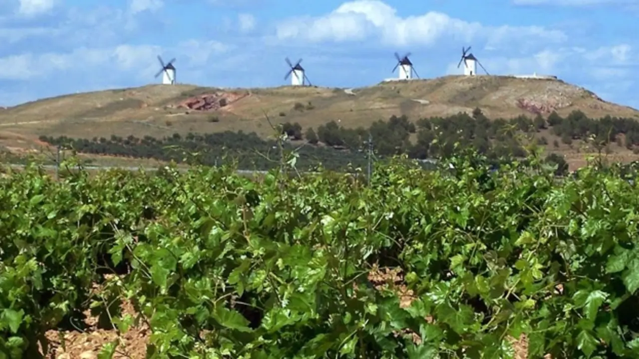 Vinos de La Mancha