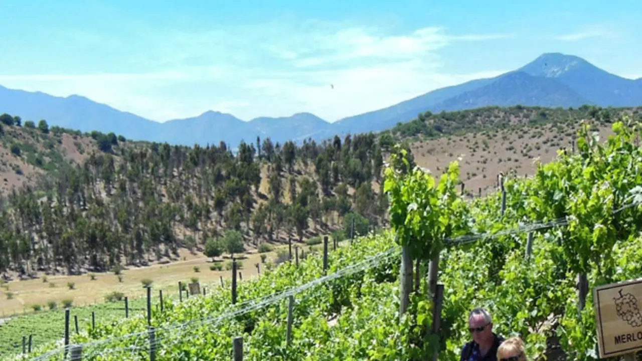 Vino Valles de Benavente