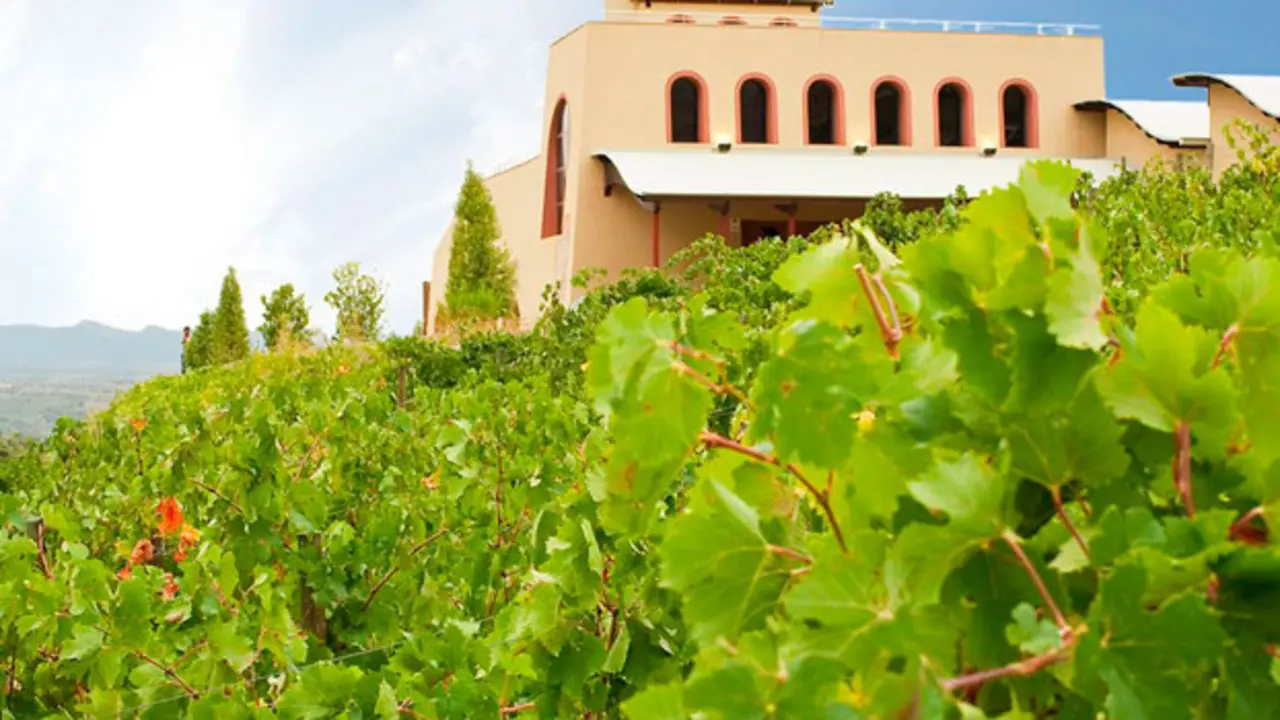 Vinos de Valtiendas