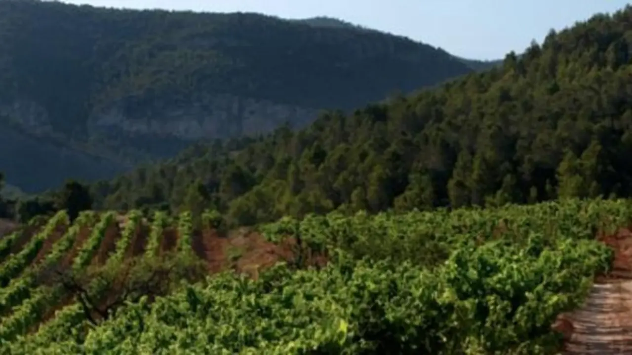 Vinos Montsant