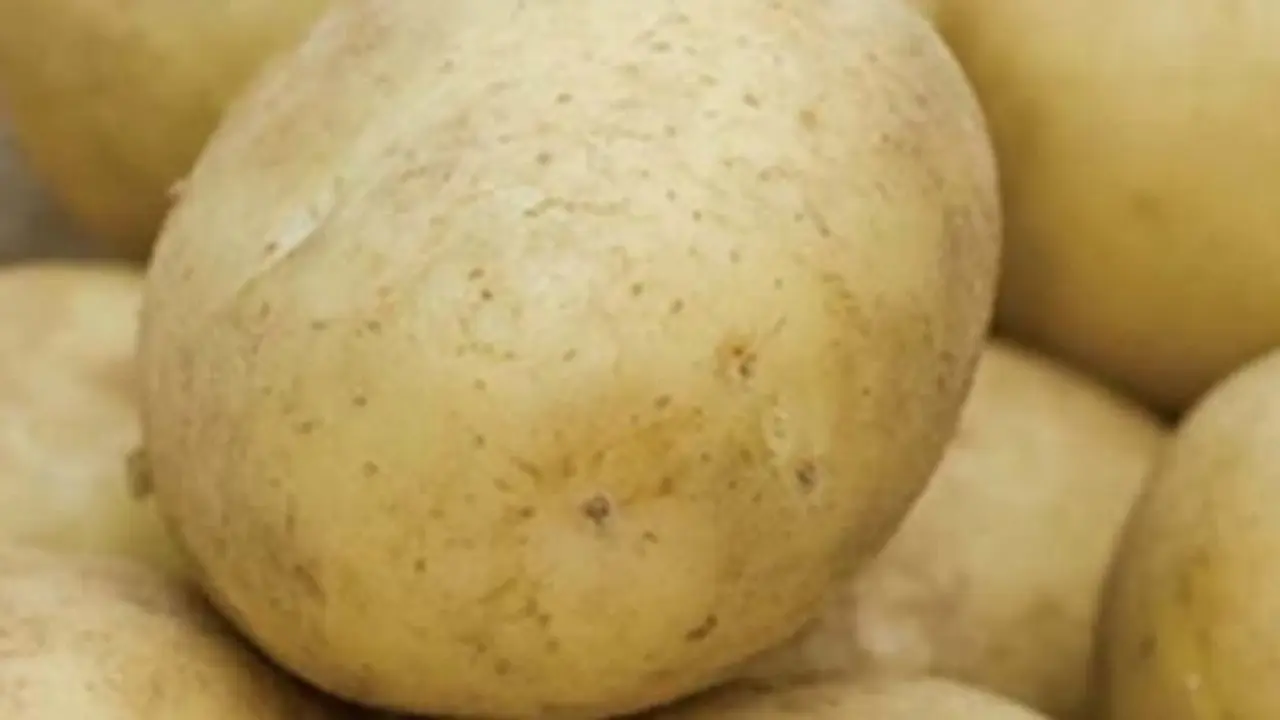 Patata de Galicia
