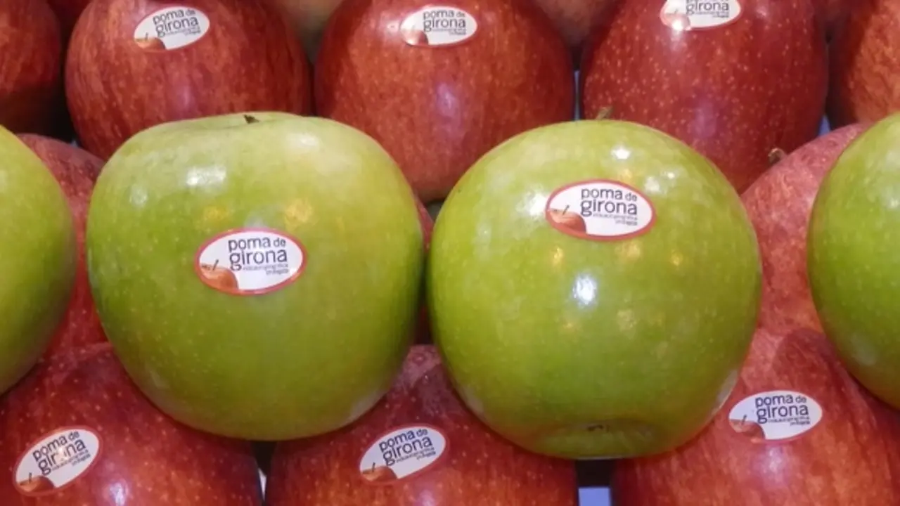 Manzana de Girona
