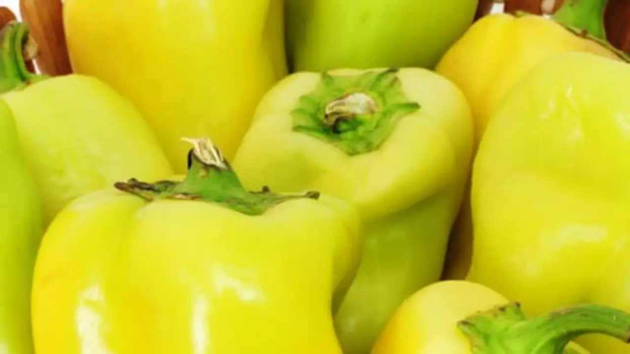 Pimiento de O&iacute;mbra
