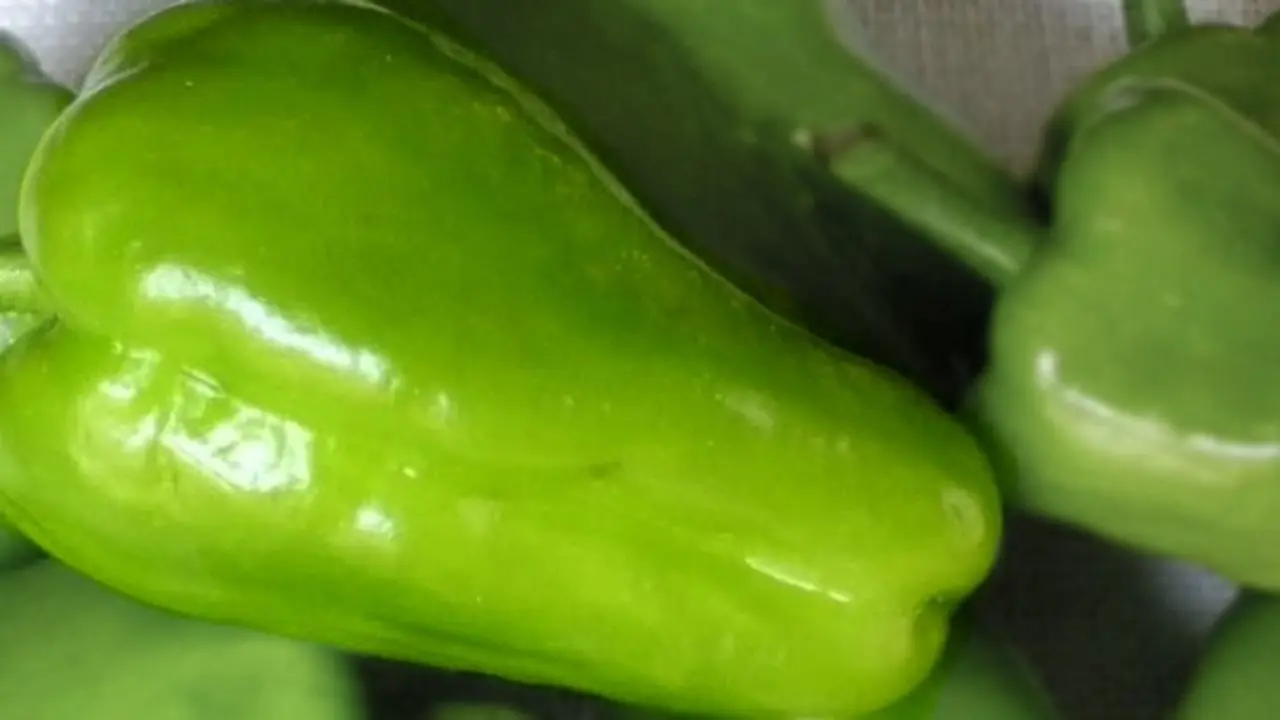 Pimiento de Arnoia