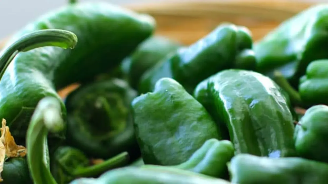 Pimiento de Herb&oacute;n