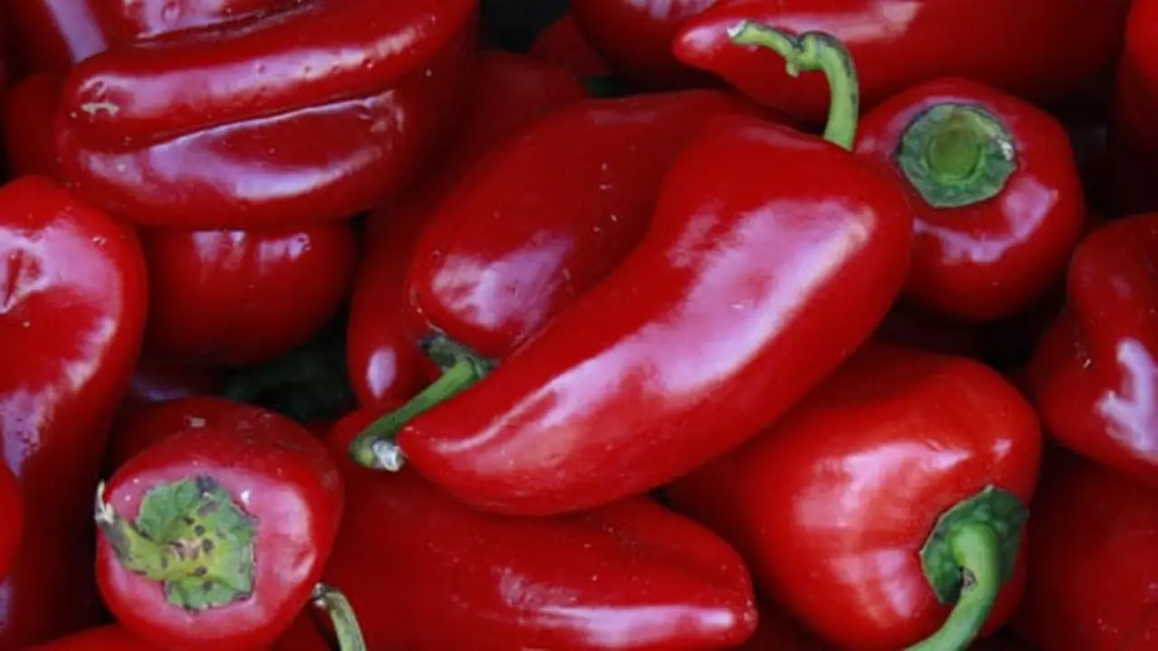 Pimiento Riojano