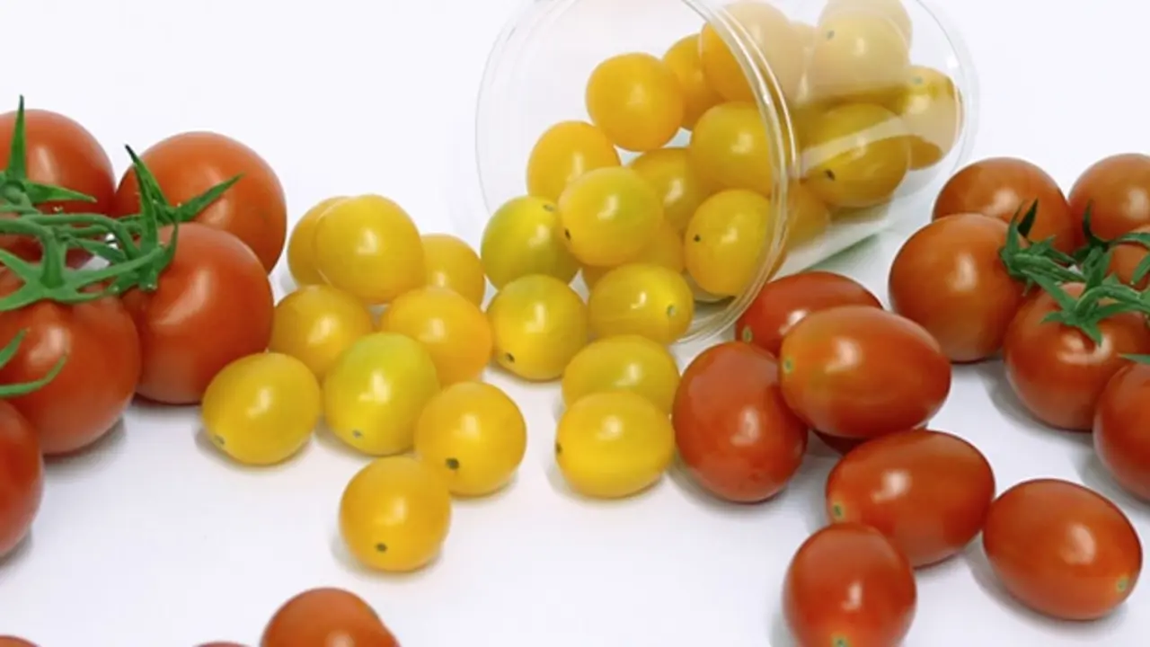 Tomate La Ca&ntilde;ada