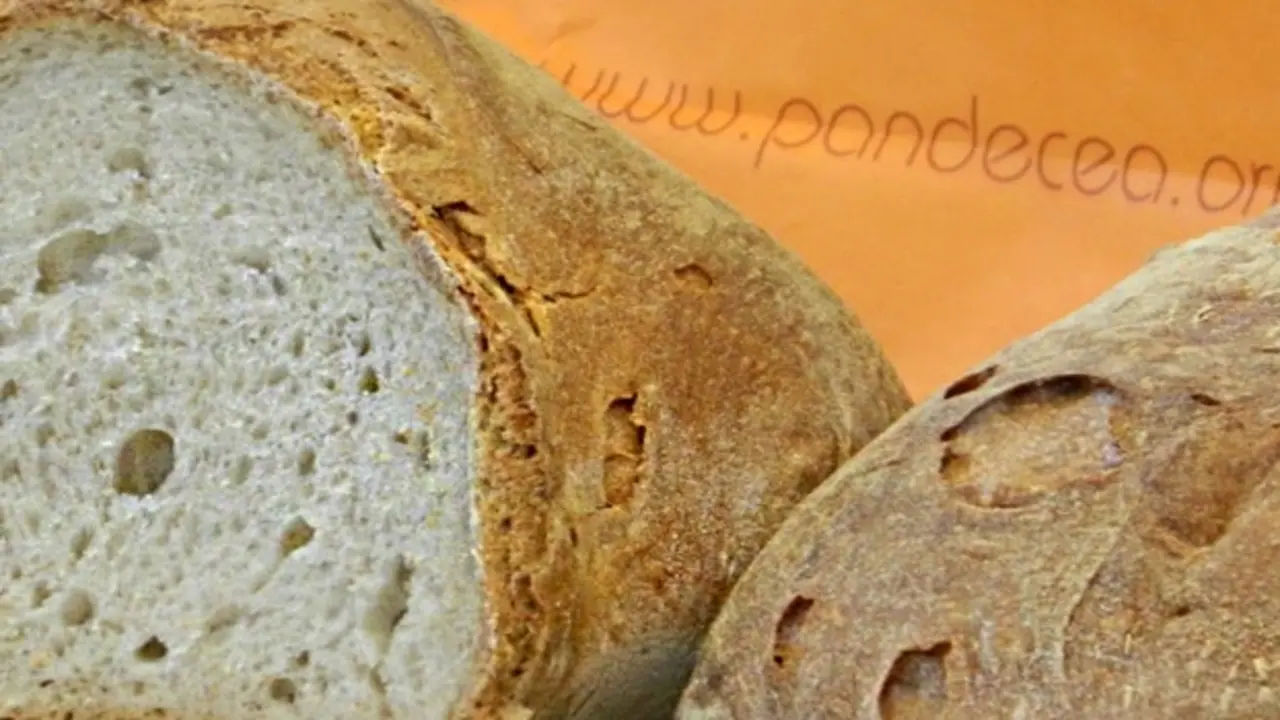 Pan de Cea
