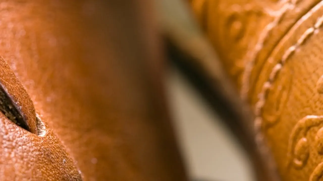 Zapato de piel