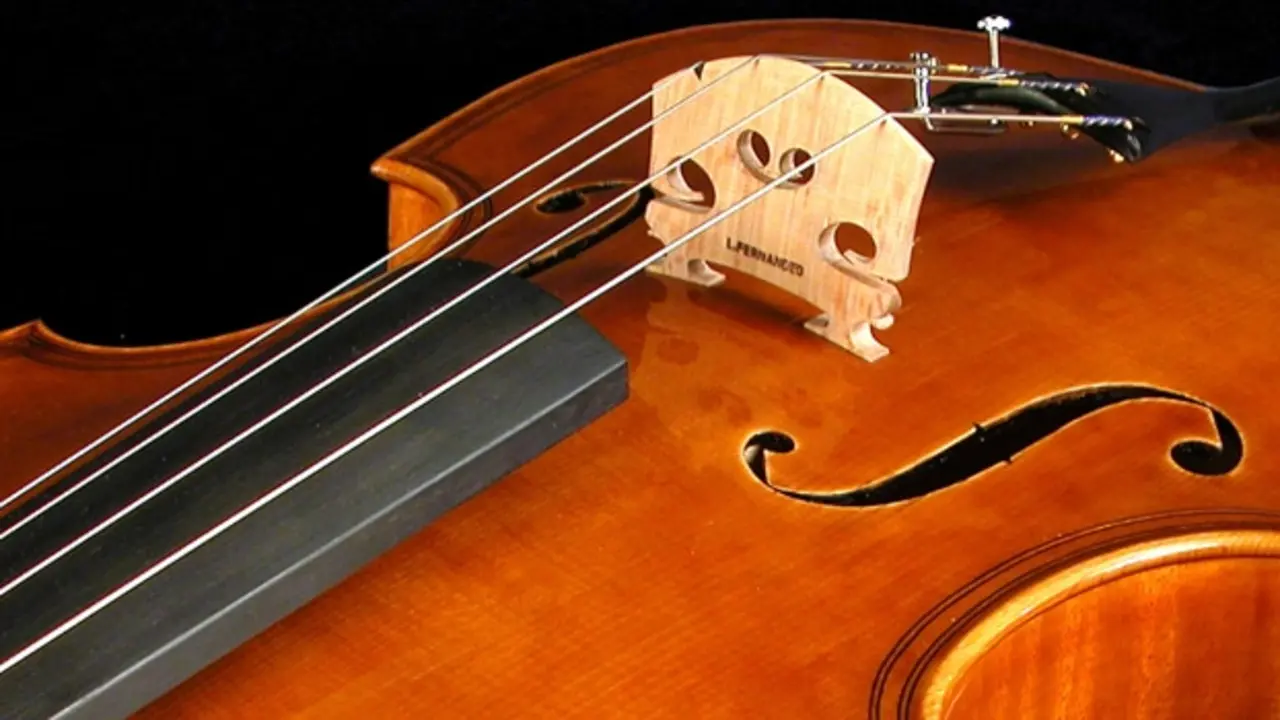 instrumentos musicales