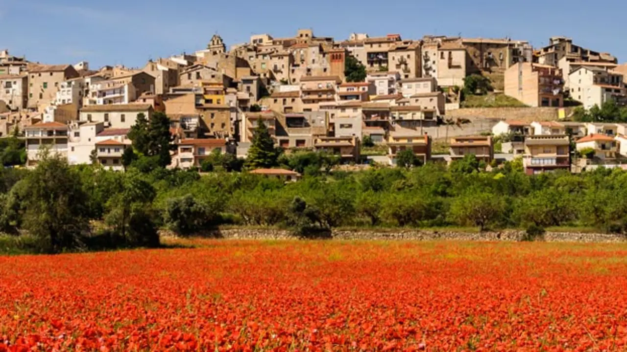 D&oacute;nde dormir en Horta De Sant Joan