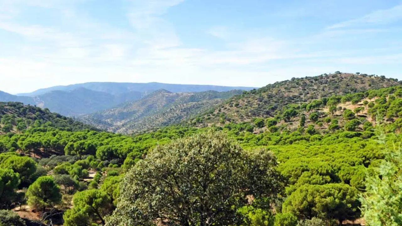 Sierra de Ja&eacute;n. | Shutterstock