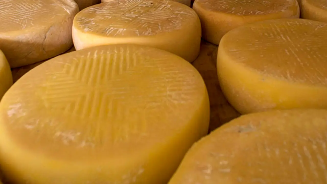 Queso de Gu&iacute;a