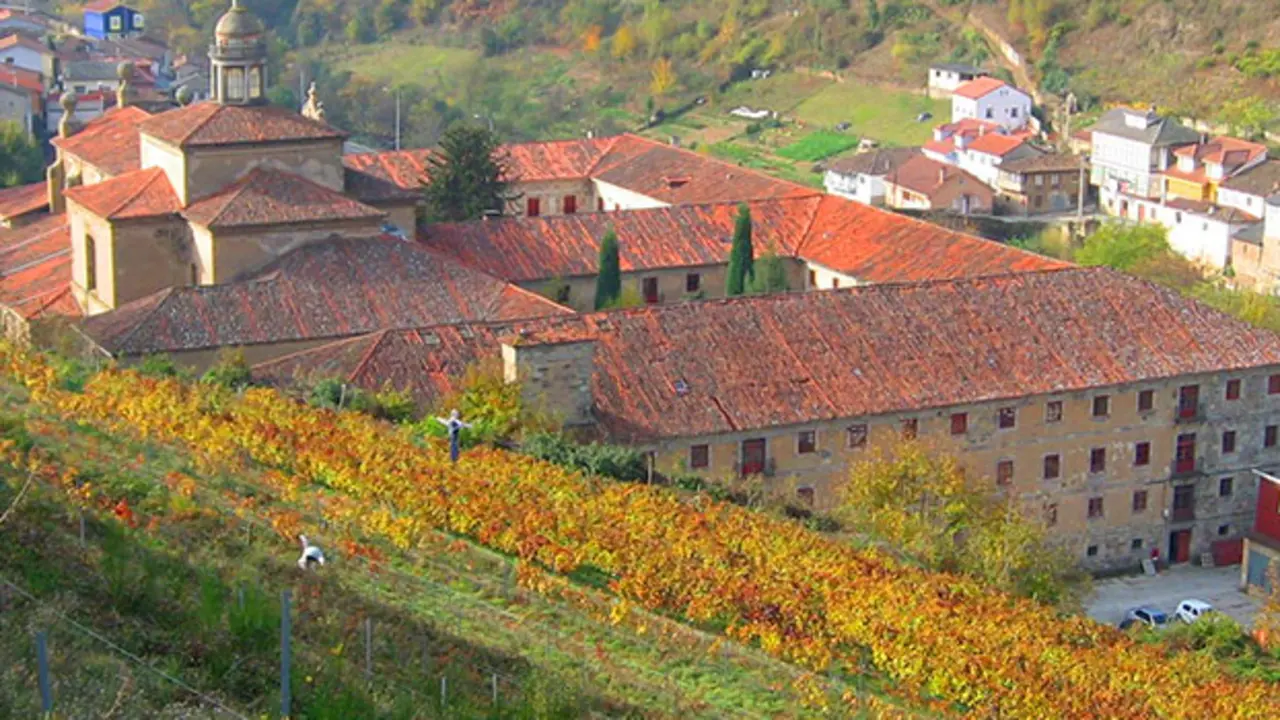 vino de Cangas