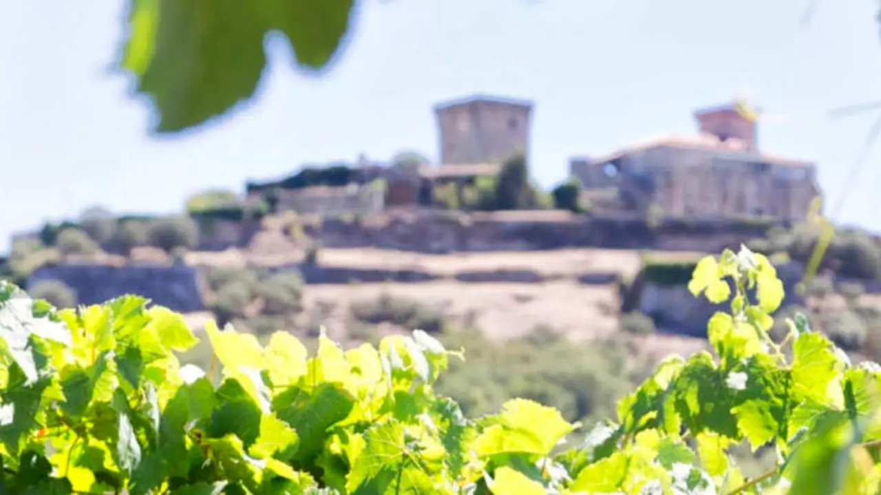 Vino Monterrei