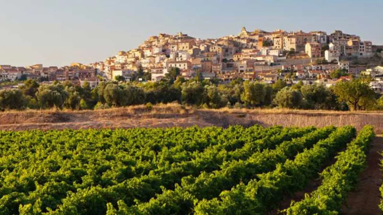 Vino Terra Alta
