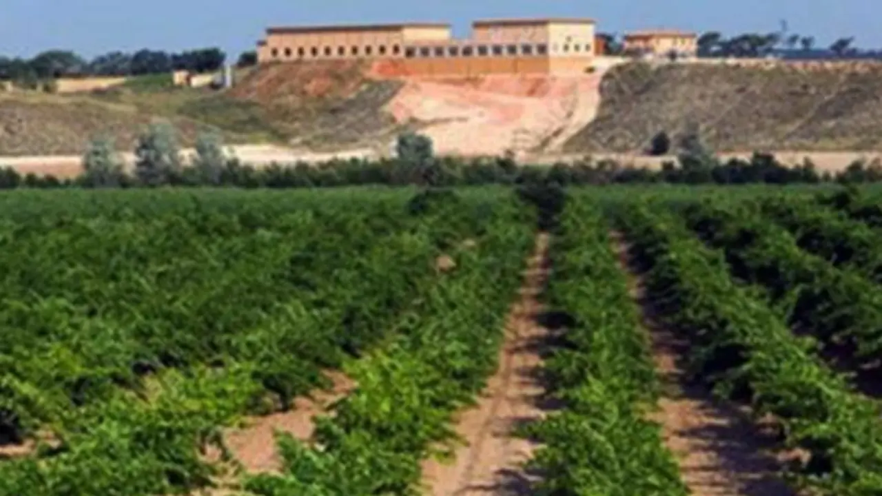 Vino Taraconte-Acentejo