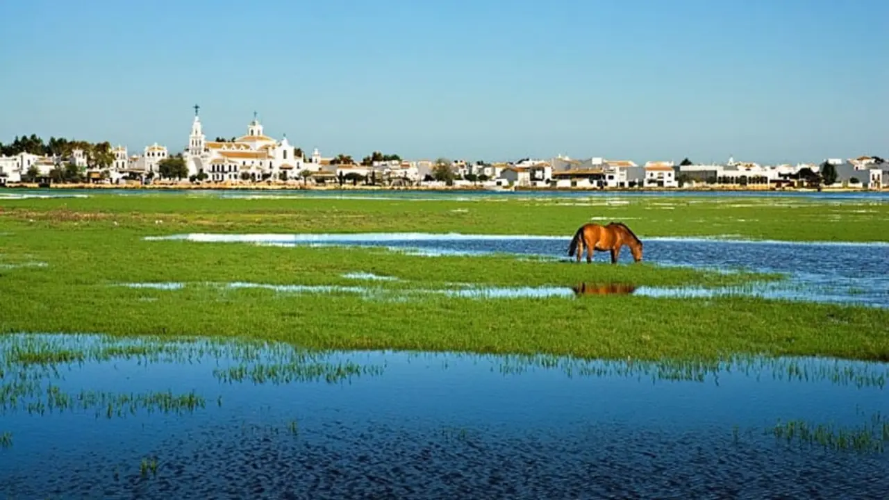 Do&ntilde;ana, posible enclave de Tartessos.
