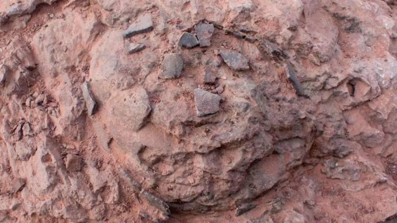 Uno de los huevos de dinosaurio hallados. | Universidad de Zaragoza