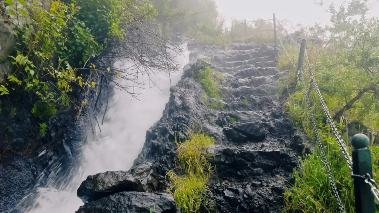Vegetaci&oacute;n en la cascada de Los Tilos. | Shutterstock