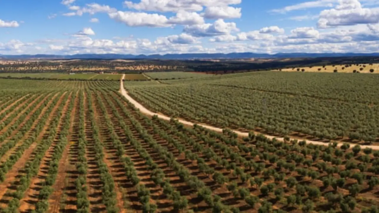 Finca Capilla del Fraile