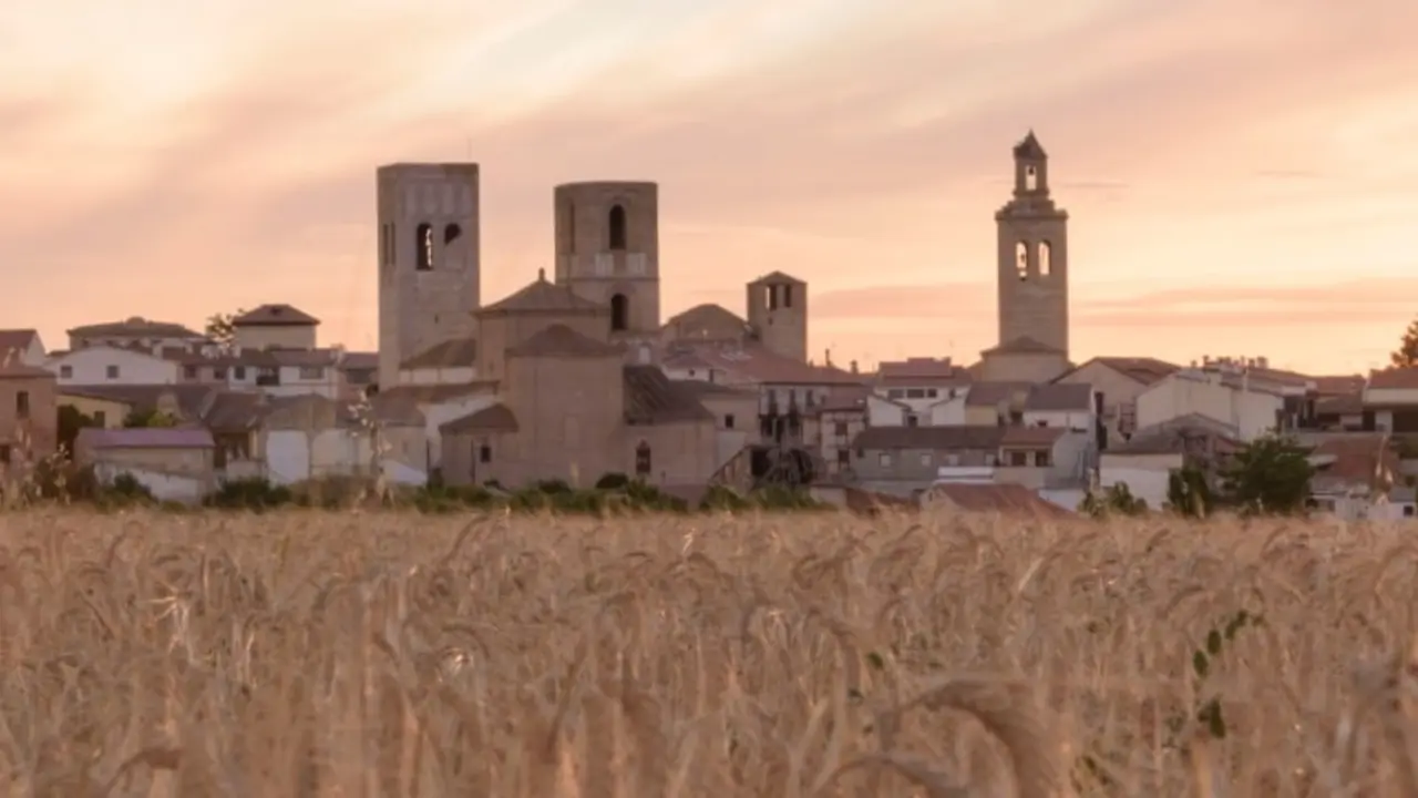 Views from the hill with a cereal field in the first term of Arevalo, Avila, Castilla Leon, Spain, Europe