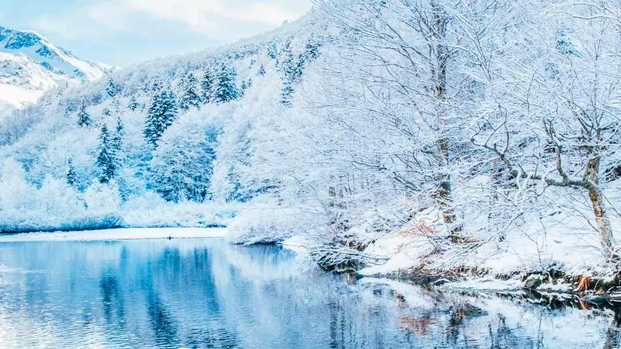 Los 12 mejores bosques de Espa&ntilde;a para visitar en invierno