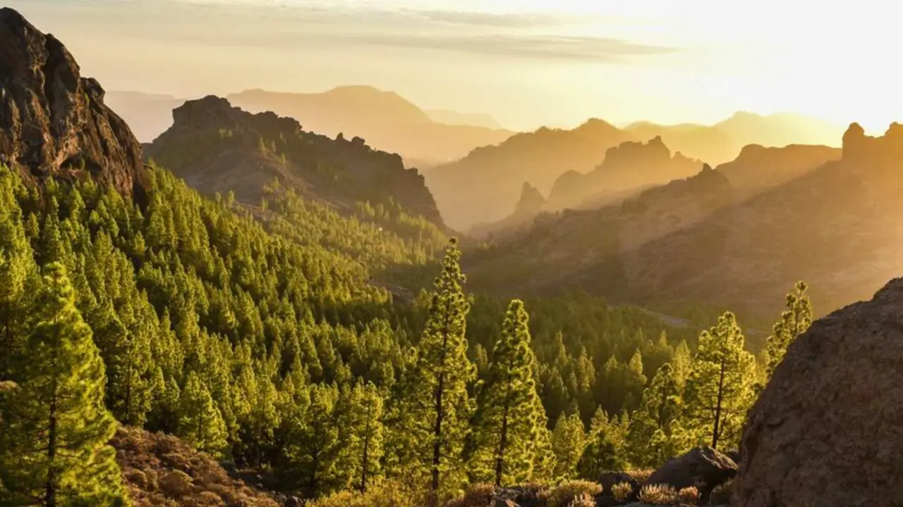 La gastronom&iacute;a de Gran Canaria