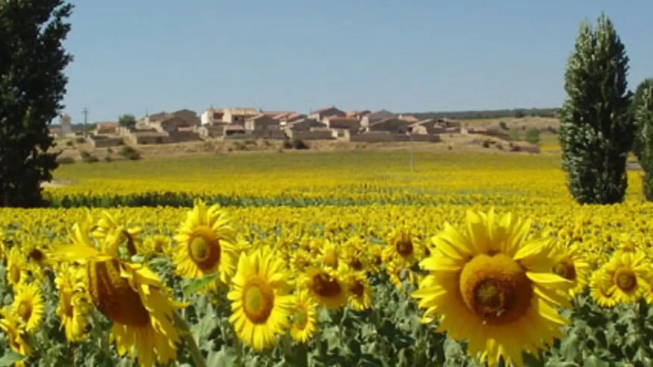 Torremochuela_02 (1)
