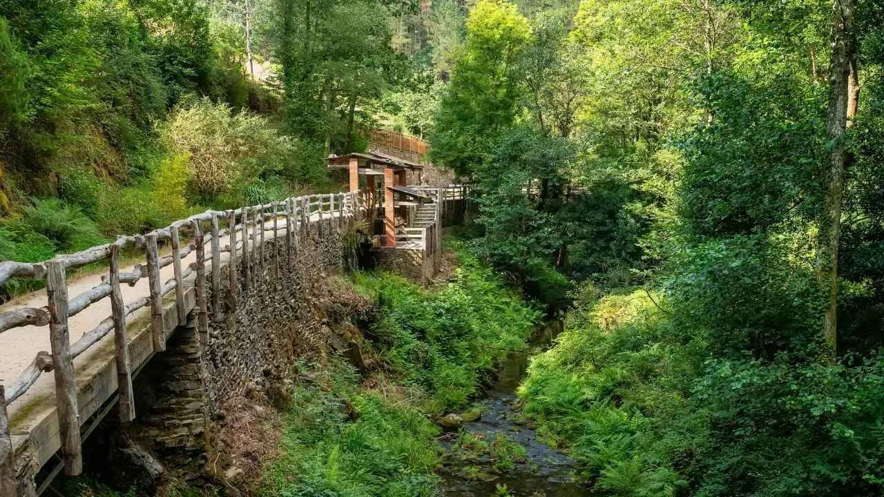 Fotos portada (1920x720) (56)
