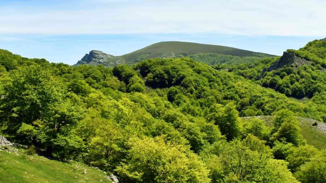 shutterstock_2468948869 (1)