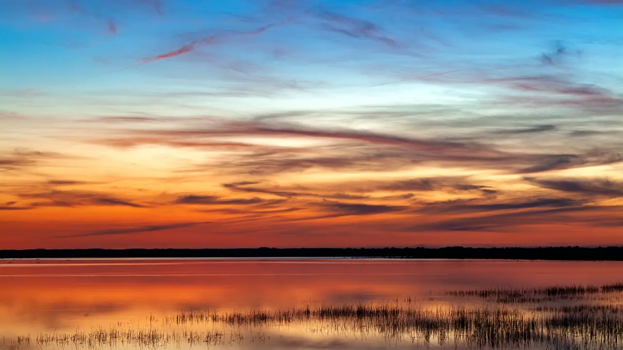 shutterstock_2601523391