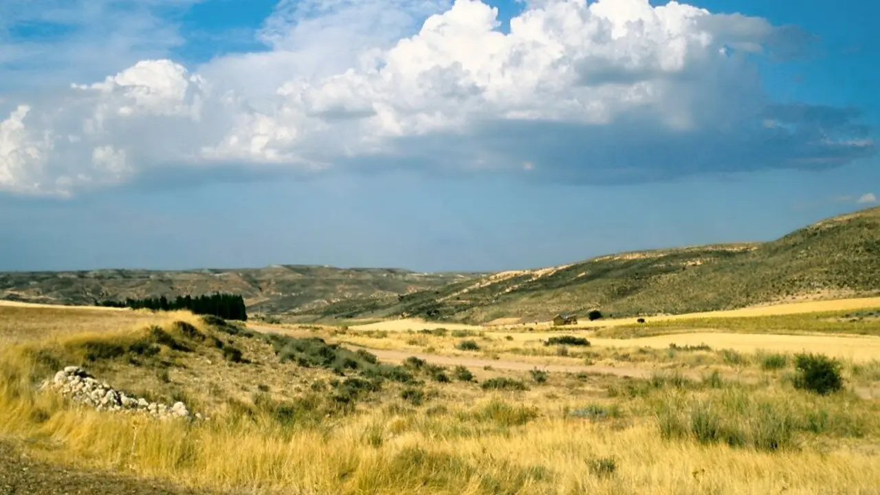 Caltojar_(2000)_03