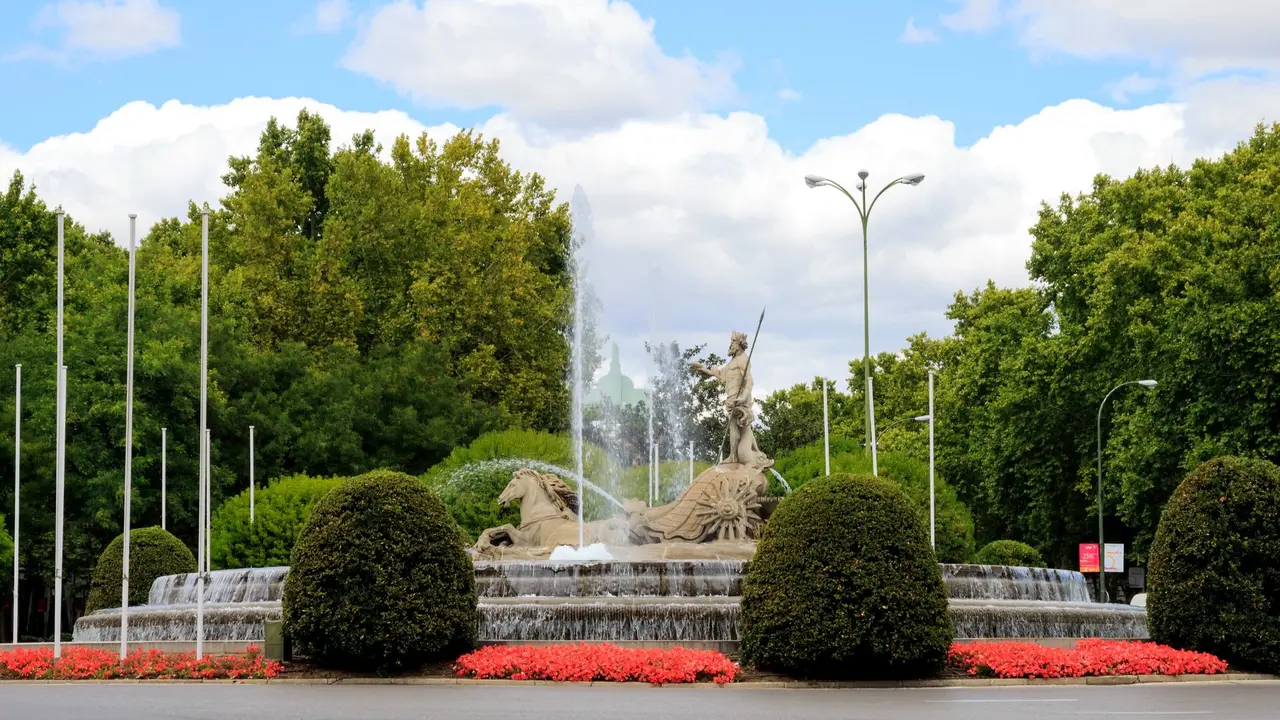 dreamstime_l_229398621