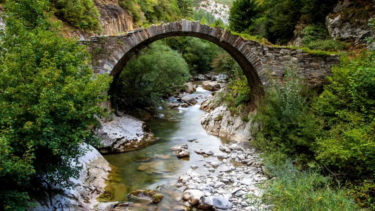 shutterstock_114273952
