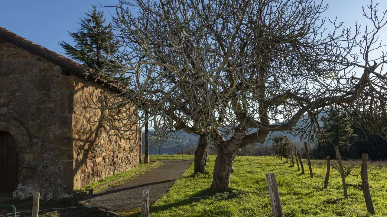 La Ermita de San Pedro de Abrisqueta