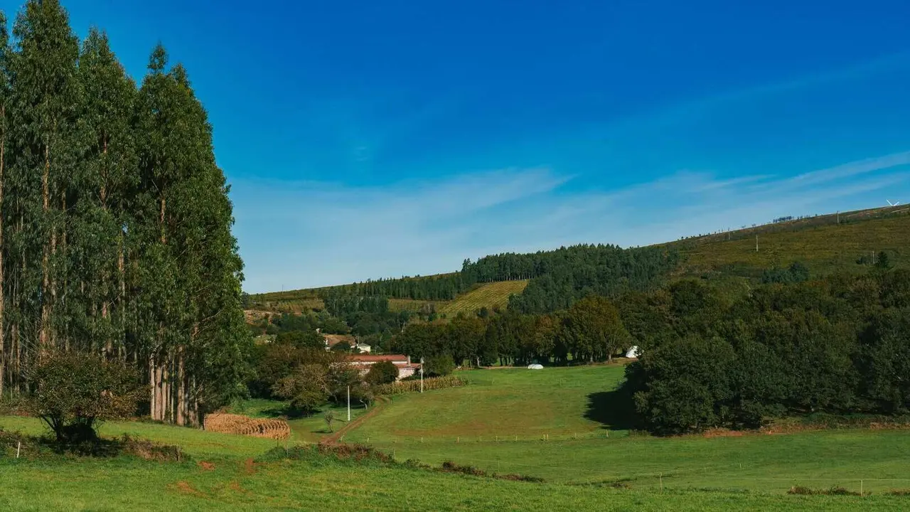 Palas de Rei. | Shutterstock