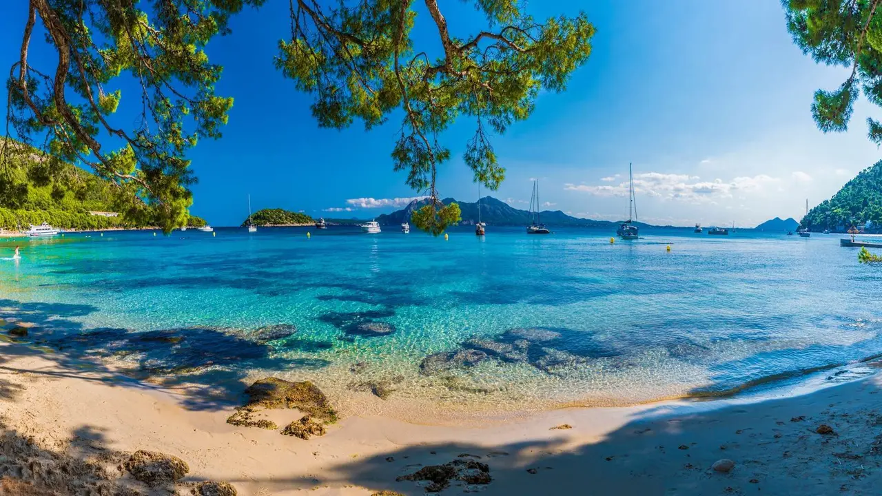 Imagen: Shutterstock